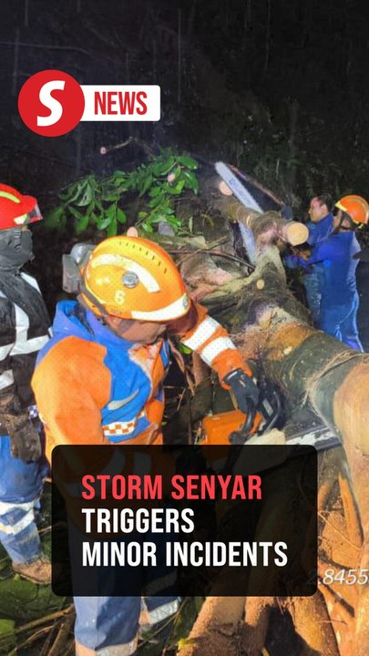 Storm Senyar uproots two trees and causes minor landslide in Negri