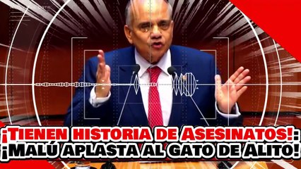🔥🚨¡USTEDES TIENEN HISTORIA DE ASESINATOS! ¡MALÚ MÍCHER EXPLOTA y APLASTA al GATO de ALITO!
