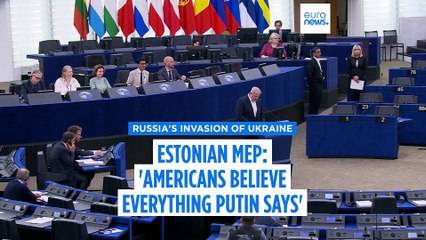 'Americans believe everything Putin says,' MEP and former general tells Euronews