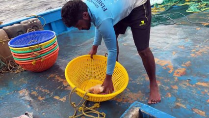 Gulf Waters, Giant Catch — A Luxury Deep-Sea Fishing Adventure