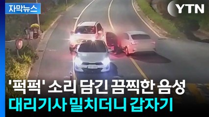 [자막뉴스] 안전띠에 몸 묶인 채로 질주...가슴 무너지는 CCTV 장면 / YTN