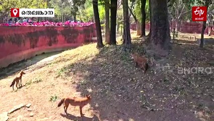 ദിനോസറുകള്‍ ഇപ്പോഴും വാഴുന്നൊരിടം; നൈല്‍ നദിയിലെ പല്ലികളുടെ പ്രജനന കേന്ദ്രം, ഏഷ്യയിലെ ഏറ്റവും മികച്ച ഈയിടം ഇന്ത്യയില്‍