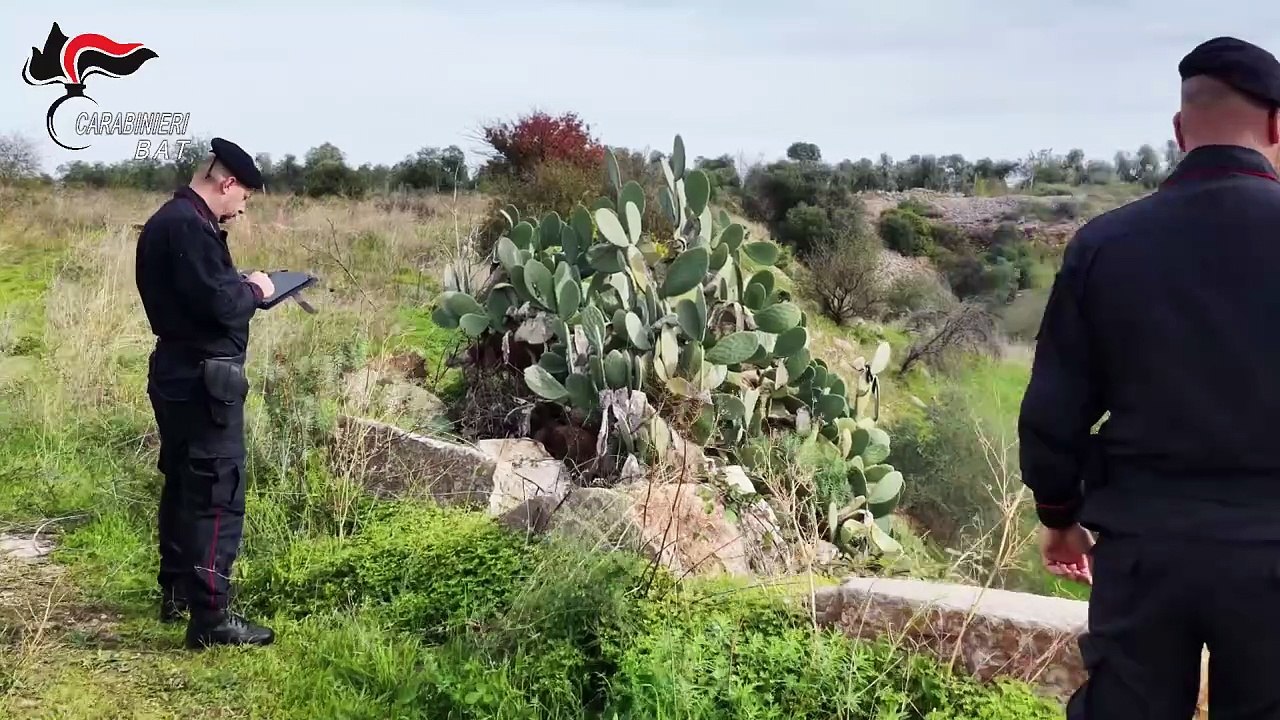 Auto rubate ad Andria e a Barletta individuate con l'elicottero dei Carabinieri