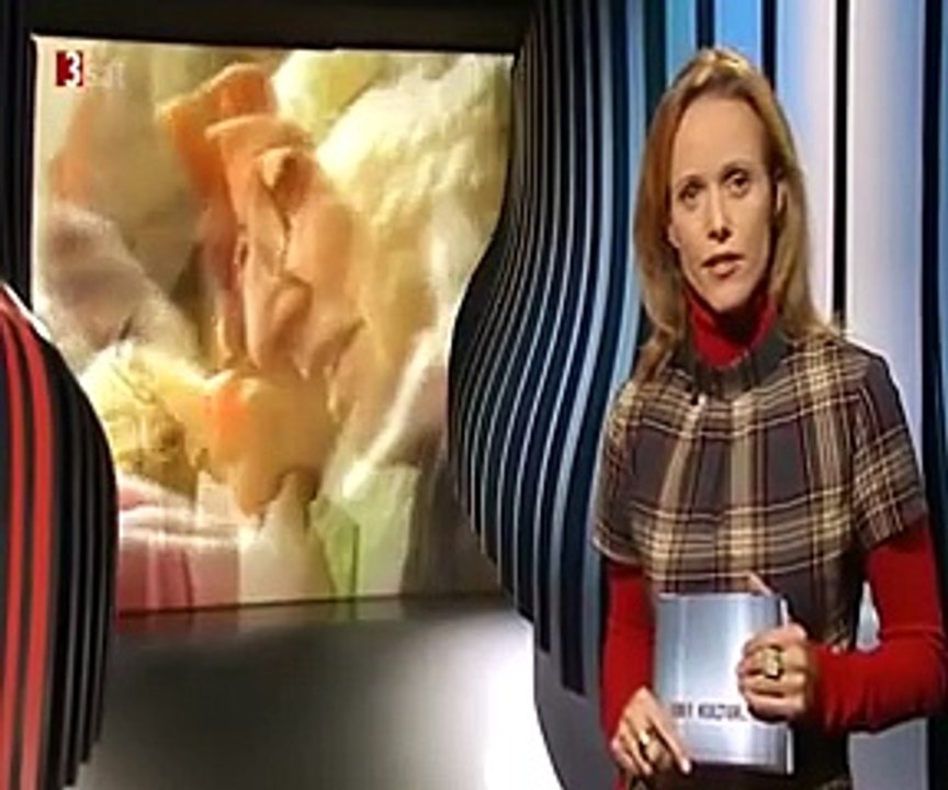 Andrea Meiers bestrumpfte Beine