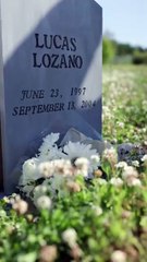 I Married Her as a Joke Until I Saw Her Crying #SF24