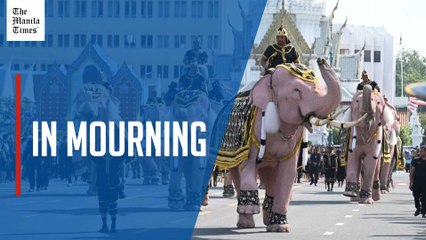 Pink elephants march for Thailand's late queen mother