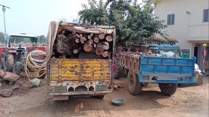 वन विभाग की ताबड़तोड़ कार्यवाही हरी लकड़ियों से भरी पिकअप व अवैध खनन में ट्रेक्टर पकड़ा