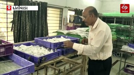 "એરંડાના પાનમાંથી બનશે રેશમ, ઈયળ ખેડૂતોને બનાવશે લખપતિ" દાંતીવાડાના કૃષિ વૈજ્ઞાનિકે કરી મહત્વપૂર્ણ શોધ