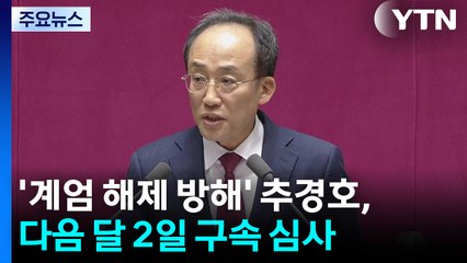 '계엄 해제 방해' 추경호, 다음 달 2일 구속영장 심사 / YTN