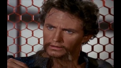 Actor Robert Brown Resemblance To Larry Hagman? Police Story & Star Trek