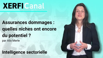 Assurances dommages : quelles niches ont encore du potentiel ? [Alix Merle]