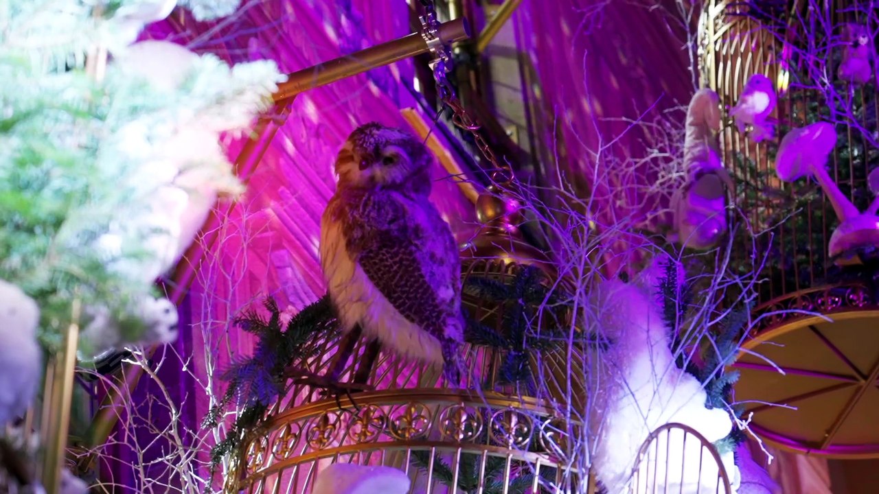 inauguration du marché de Noël de Strasbourg 2025