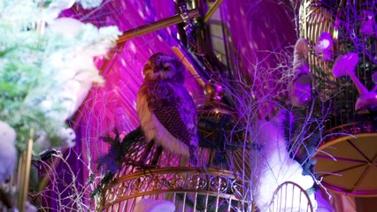 inauguration du marché de Noël de Strasbourg 2025