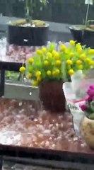 İzmir’de yağış etkisini artırıyor: Çeşme’de dolu etkili oldu