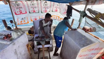 Gulf Horizon Hunt — Catching the Ocean’s Most Powerful Fighters