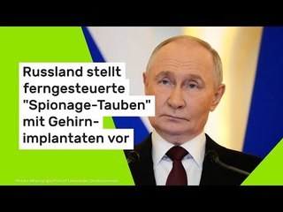 Russland stellt ferngesteuerte "Spionage-Tauben" mit Gehirnimplantaten vor