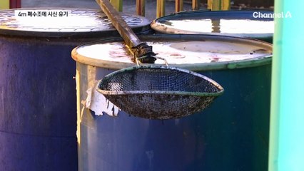 청주 실종 여성 살해범, 거래처 4m 깊이 수조에 시신 숨겨