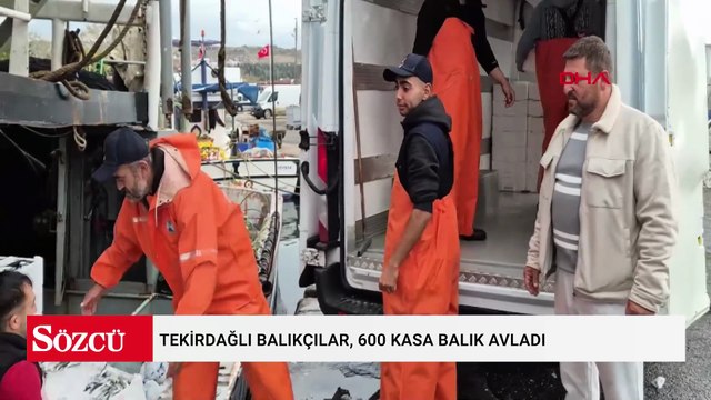 Marmara'da lodos dindi; Tekirdağlı balıkçılar, 600 kasa balık avladı