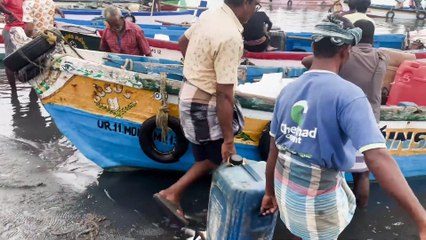 Royal Gulf Catch — A Prestige Deep-Sea Fishing Escape