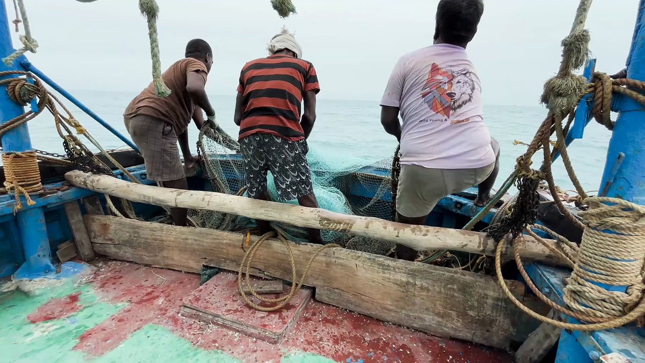 Ocean Kings of the Gulf — Epic Deep-Sea Fishing Challenge