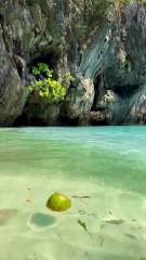 natural scene beautiful natural scenery