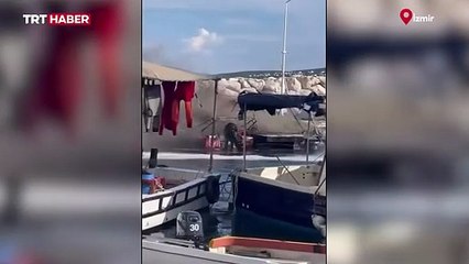 İzmir'de barınaktaki tekneler alevlere teslim oldu