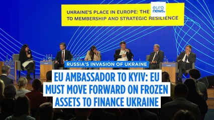 EU must move forward on frozen assets to finance Ukraine, EU ambassador to Kyiv says