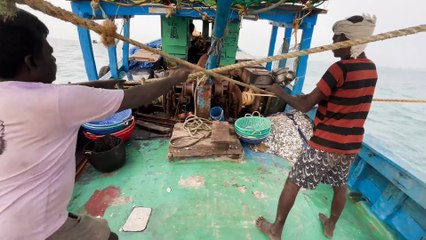 Gulf Elite Expedition — Where Adventure Meets the Ultimate Catch