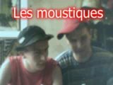 Crewxtrem les moustiques