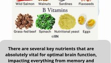 vital nutrients for optimal brain function