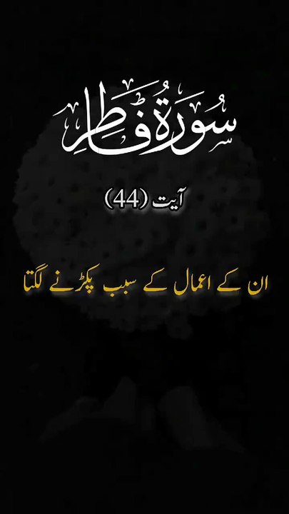 From KlickPin CF Syedwrites95 on Instagram (Surah fatir _verse 44) Follow for more Isla...mideos Save this Reel Please    القرآن القران_الكريم تلاوت_قرآن تلاوت_قرآ… in 2025ALI HASSAN avatar link