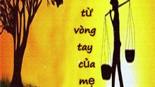 Phật dạy về cha mẹ cảm động
