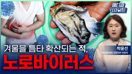 [메디컬 인사이트 112회] 겨울철 거침없이 확산하는 노로바이러스의 예방법  / YTN