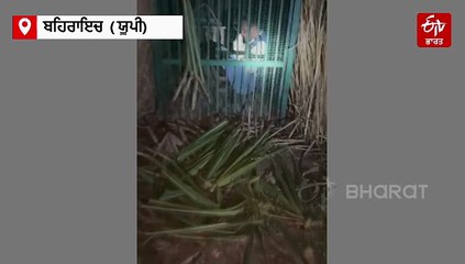 VIDEO : ਤੇਂਦੂਆਂ ਨੂੰ ਫੜ੍ਹਨ ਲਈ ਲਗਾਏ ਪਿੰਜਰੇ 'ਚ ਫਸਿਆ ਸ਼ਖ਼ਸ,2 ਘੰਟਿਆਂ ਤੱਕ ਬੱਕਰੀ ਨਾਲ ਰਿਹਾ ਬੰਦ