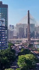 I Leashed A CEO! USA #ReelShort