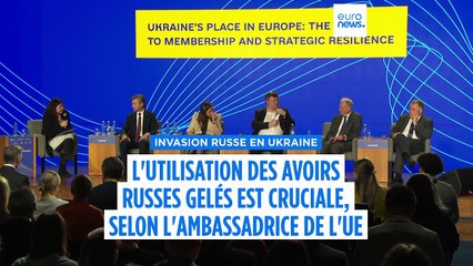 L'UE doit utiliser les avoirs russes gelés, déclare l'ambassadrice de l'UE en Ukraine