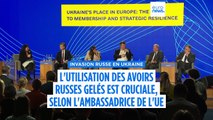 L'UE doit utiliser les avoirs russes gelés, déclare l'ambassadrice de l'UE en Ukraine