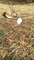 Do you also argue in the same way?