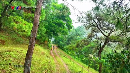 Gió Cuốn Mây Trôi - VTV3 - 27/11/2025