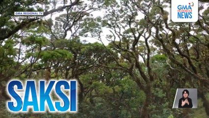 Bonsai forest ng Mt. Madja-as, binabalik-balikan ng ilang hiker | Saksi