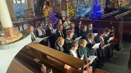 Tavistock Christmas Tree Festival launch