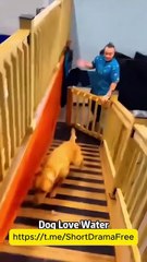 Fated to Miss Her EngSub #litetv