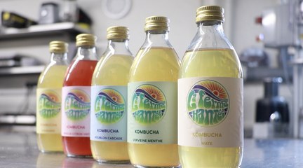 À Marieulles, la Ferme Hantée fabrique du Kombucha artisanal et bio