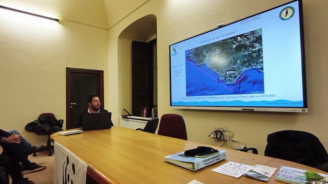 Arpa Campania - Il monitoraggio in Campania , convegno a Napoli. I contributi di Dario Monaco e Filippo Tatino (28.11.25)