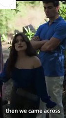 Sinful Love with Alphas Full Movie