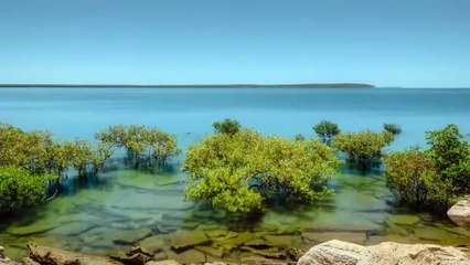 Prehistoric Planet： Ice Age Season 3 Official Trailer