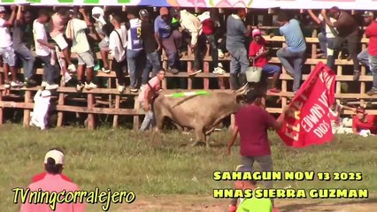Corralejas Sahagún 2025 | Toros de Hnas. Sierra Guzmán