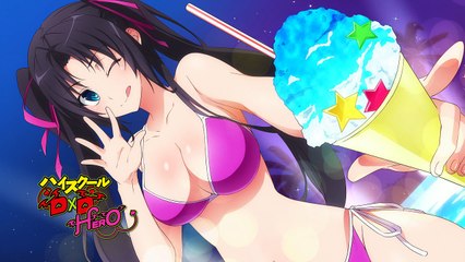 High School DxD Hero 10