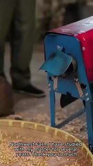 Ten Years In Prison, All For Her Lies / Loving the Wrong One for Ten Years - Full Movie - Chinese Drama