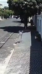 Câmera flagra homem assediando mulher em rua